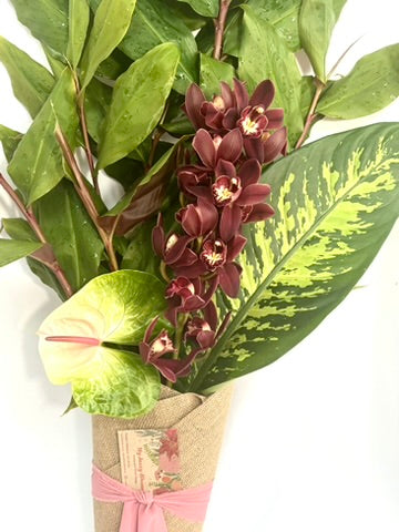 Jazzy Orchid image 1