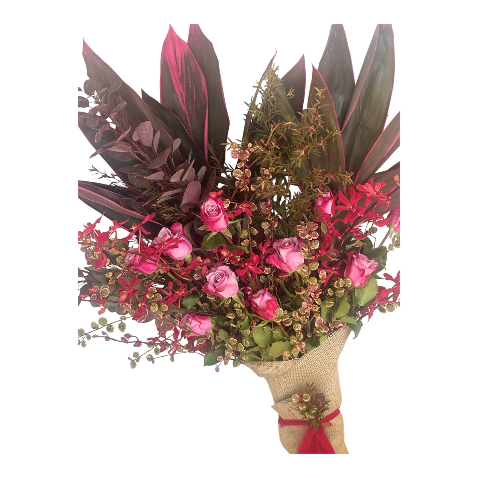 Jazzy Ruby - My Jazzy Blooms
