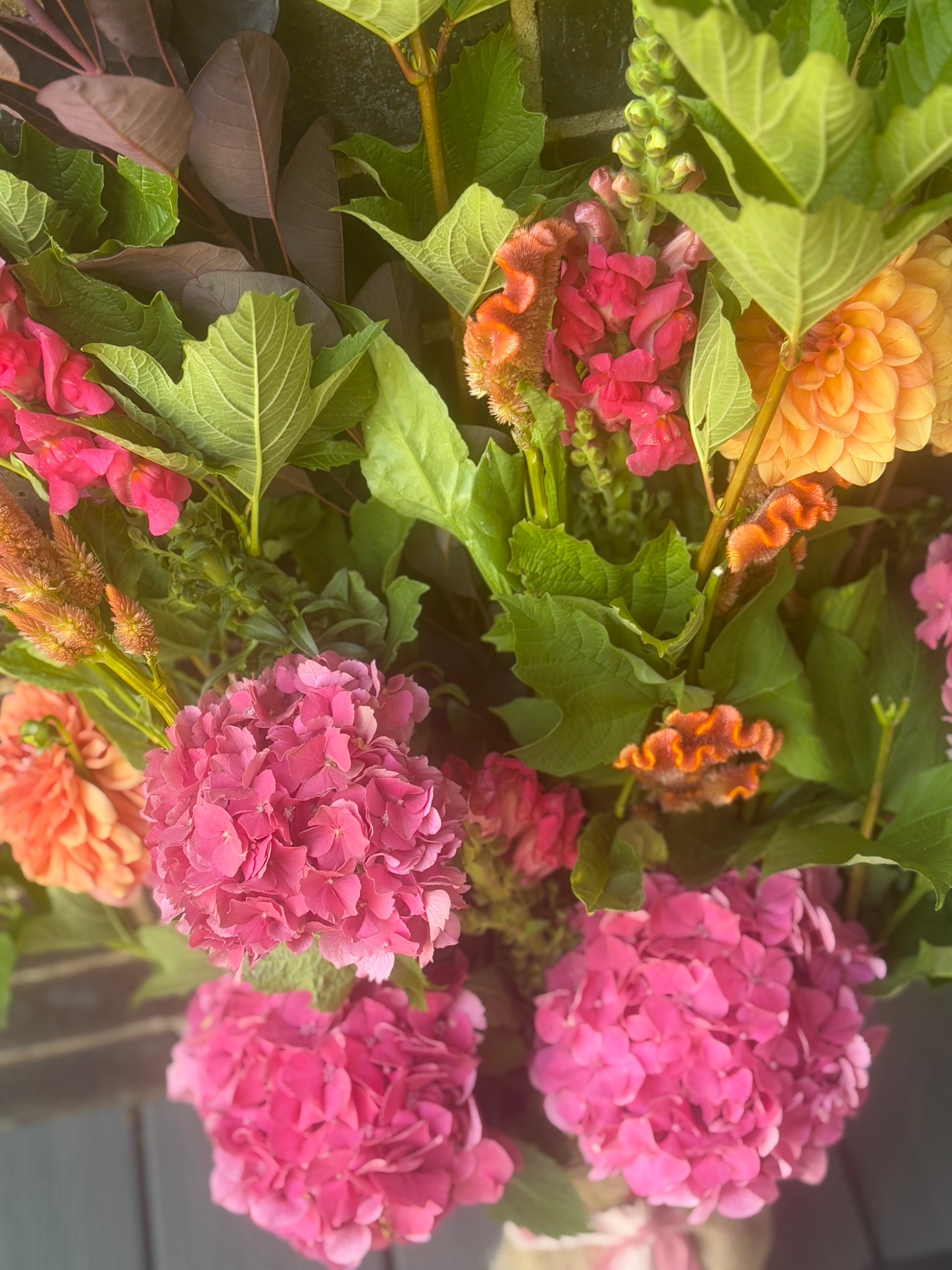 Bright Colourful Jazz - My Jazzy Blooms