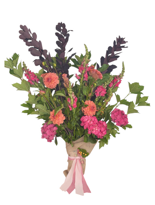 Bright Colourful Jazz - My Jazzy Blooms