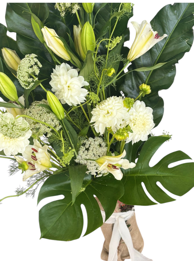 Modern Jazzy Whites - My Jazzy Blooms