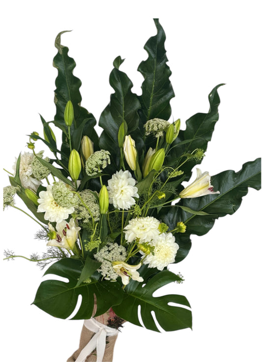 Modern Jazzy Whites - My Jazzy Blooms