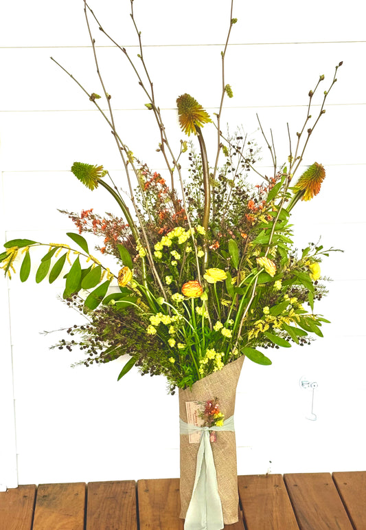 Sunshine and Jazz image 0