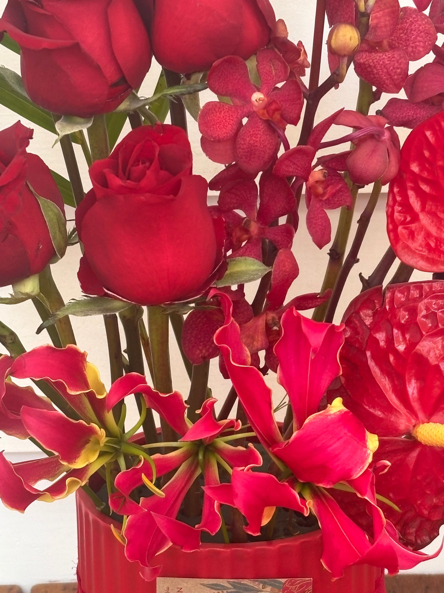 Passionate Jazzy Reds - My Jazzy Blooms