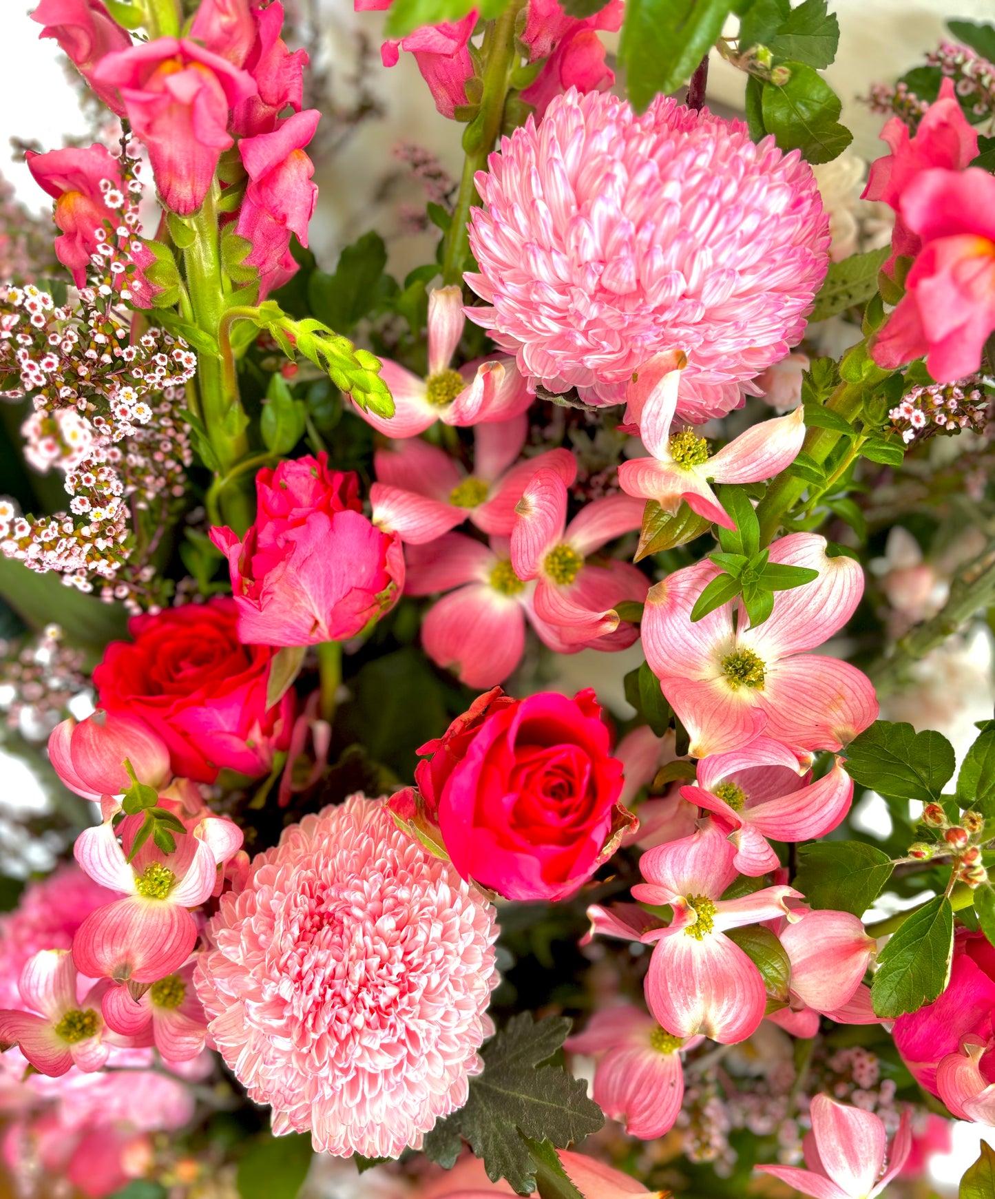 Jazzy Pinks - My Jazzy Blooms