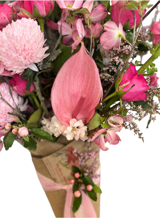 Jazzy Pinks - My Jazzy Blooms