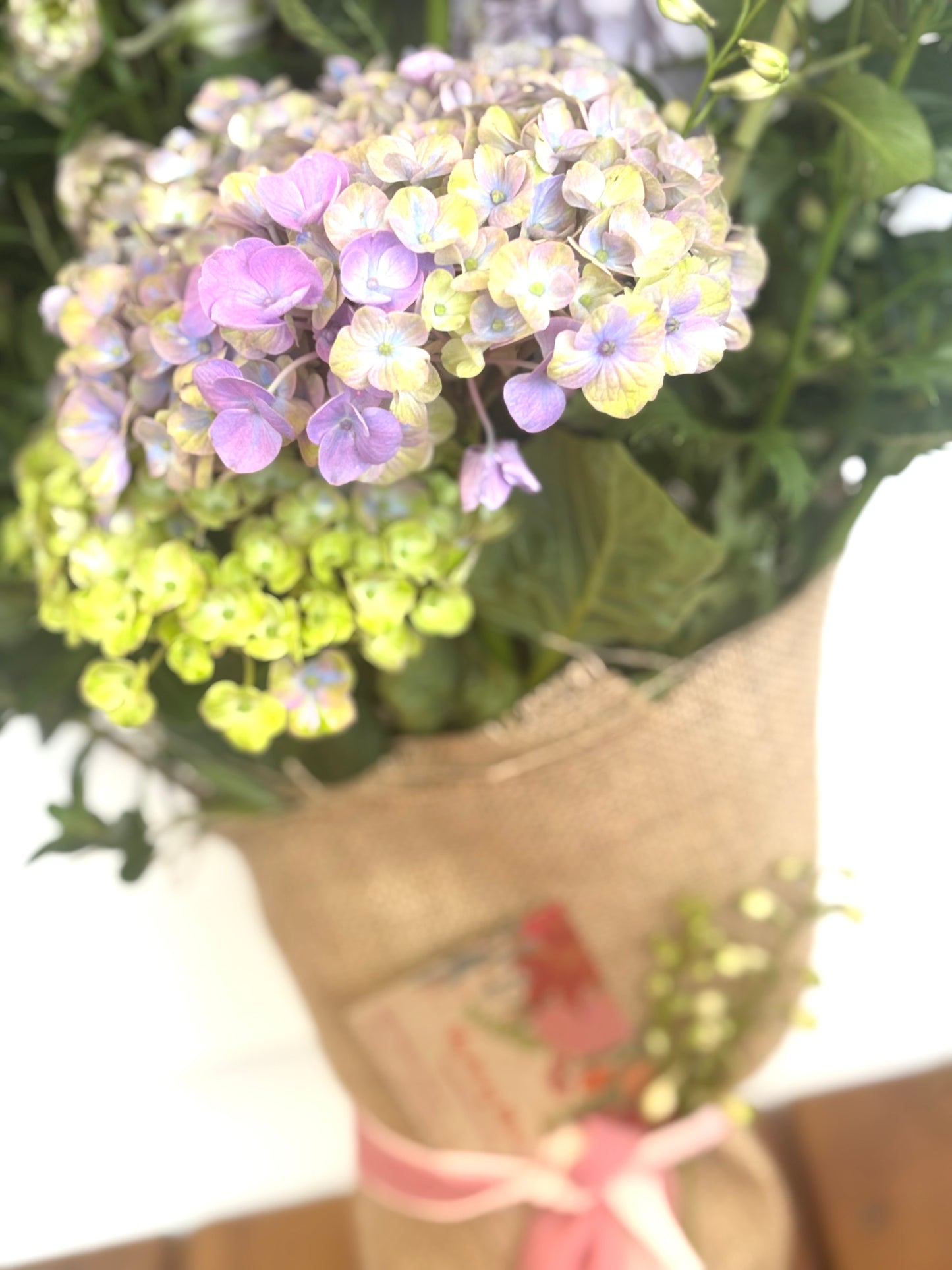 Jazzy Pastels - My Jazzy Blooms
