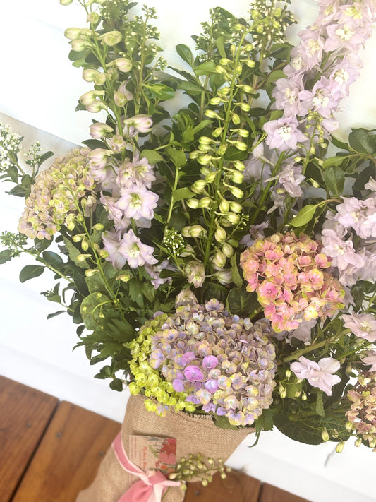 Jazzy Pastels - My Jazzy Blooms